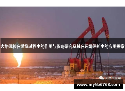 火焰微粒在燃烧过程中的作用与影响研究及其在环境保护中的应用探索